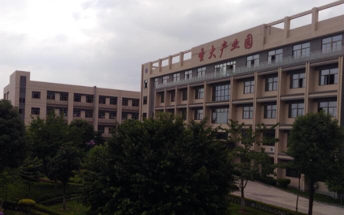 环佛汽车照明